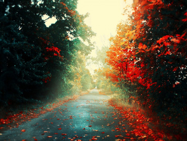 免费ddos在线攻击测试网站