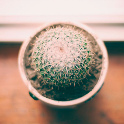 服务器攻击软件