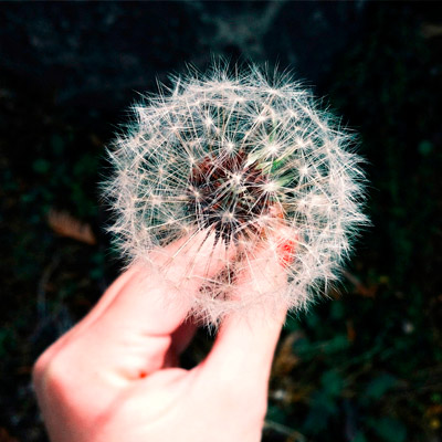 ddos攻击防御手段