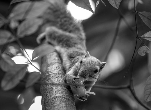 实时协作的ddos接单平台