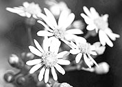 ip攻击器网页版ddos